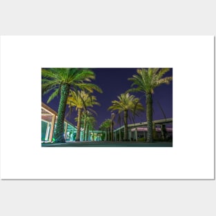 PALM TREES AT NIGHT Posters and Art